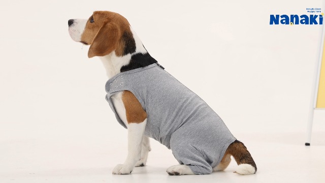 Amazon.com: Nanaki Dog Wound Care Shirt,Dog Leg Sleeve to Stop